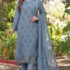 Grey Color Luxury Chiffon Pakistani Salwar Kameez