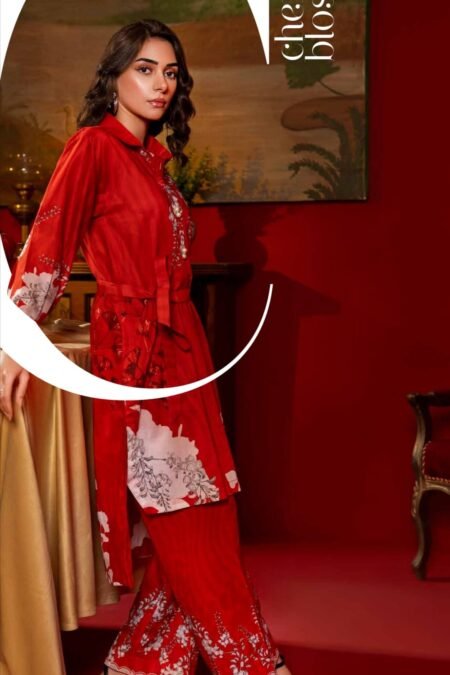 Red & Bolds Lawn Pakistani Suits Online - D02