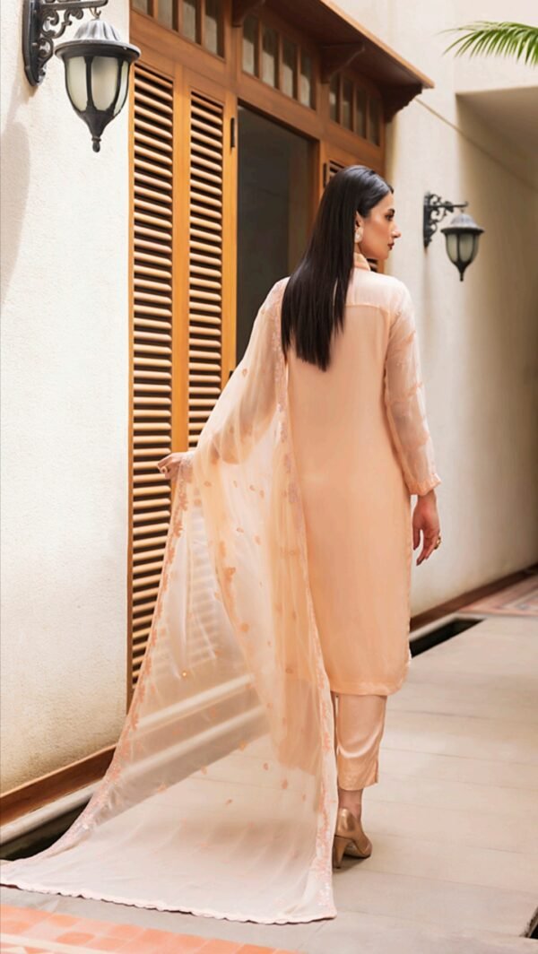 Peach color stitched chiffon Pakistani dresses