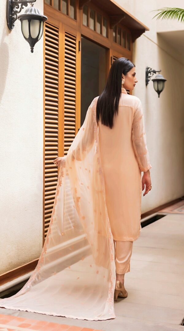 Peach color stitched chiffon Pakistani dresses