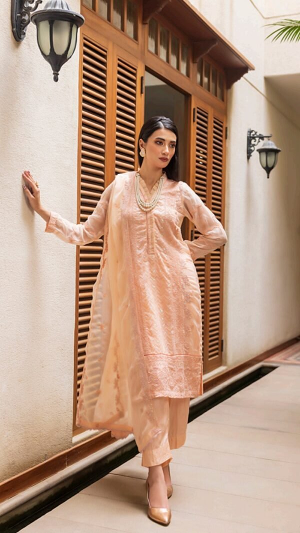 Peach color stitched chiffon Pakistani Salwar Kameez