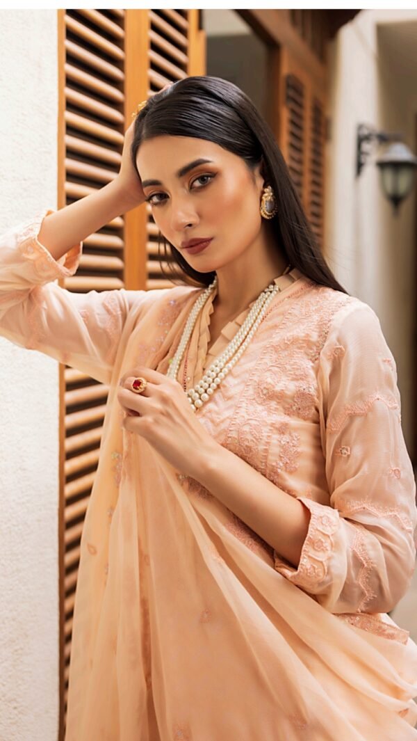 Peach color stitched chiffon Pakistani Salwar suit