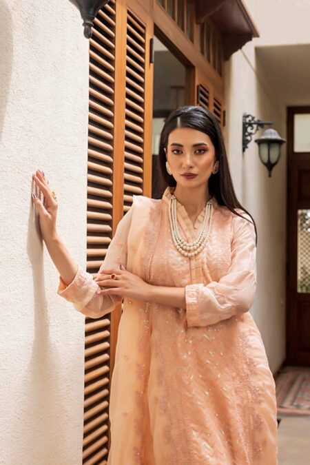 Peach color stitched chiffon Pakistani Suits