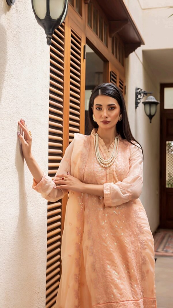 Peach color stitched chiffon Pakistani Suits