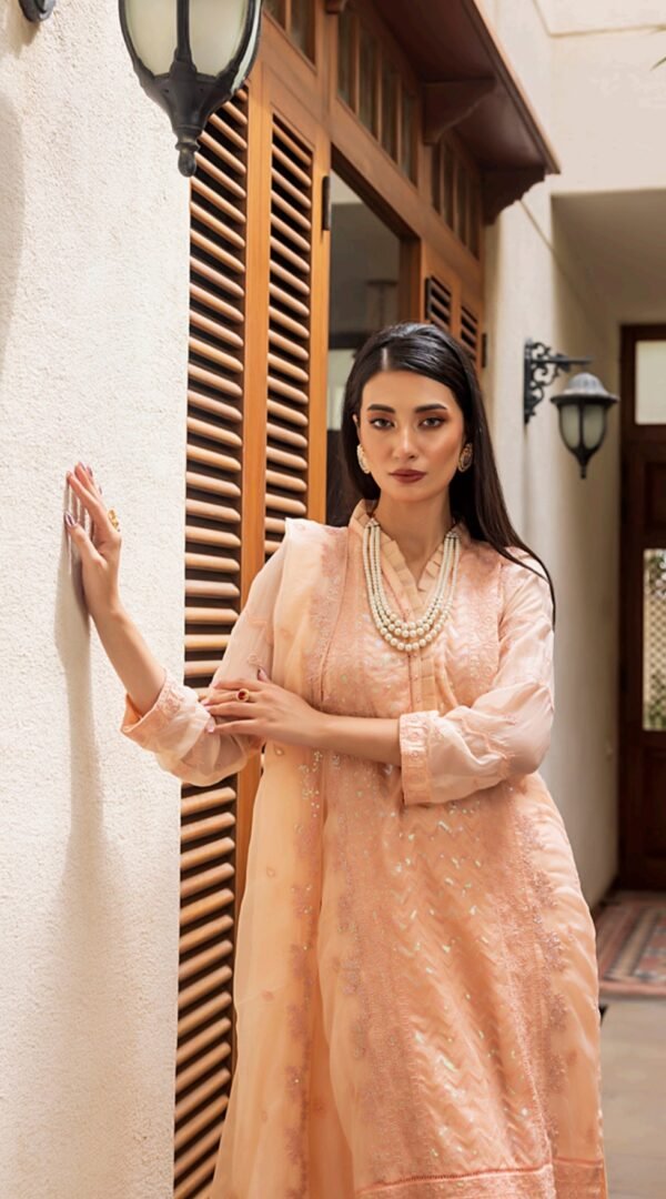 Peach color stitched chiffon Pakistani Suits