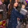 silk pakistani party dresses