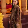 silk pakistani salwar suits