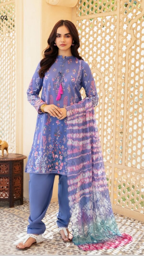 Light Blue Color Printed Pakistani Suits