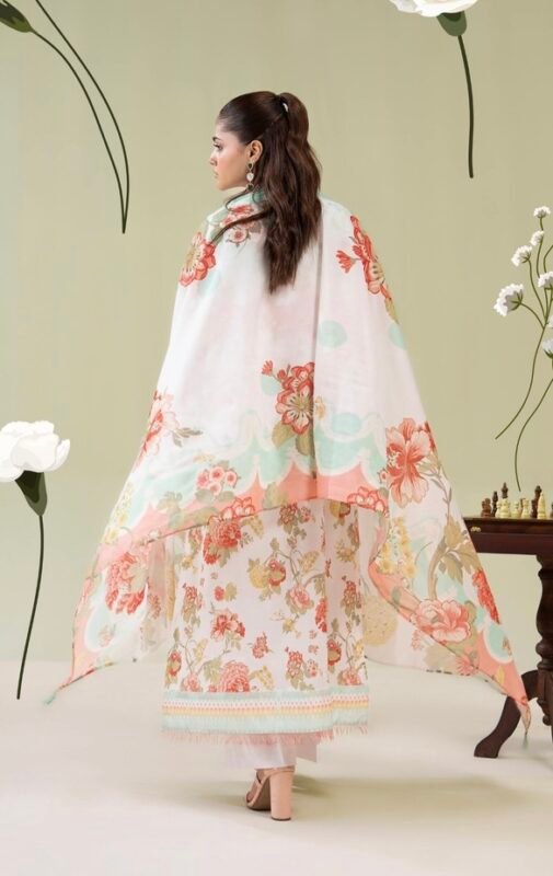 daily wear Pakistani suits